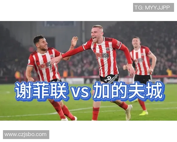 谢菲联主场迎战加的夫城争夺英冠积分榜关键胜利